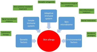 Contemporary Grand Challenges and Opportunities in Skin Allergies